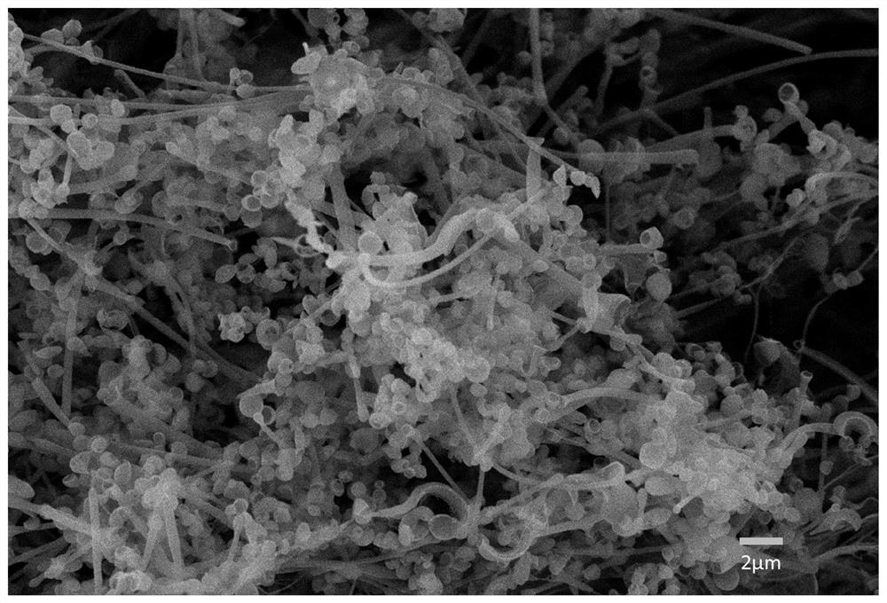 Method for preparing lignin nanotube by utilizing agriculture and forestry biomass raw materials