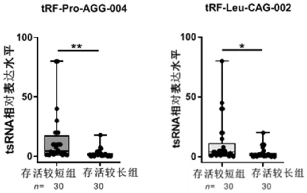 tsRNA marker for detecting cancer tissue and para-carcinoma tissue of pancreatic cancer, probe and application thereof