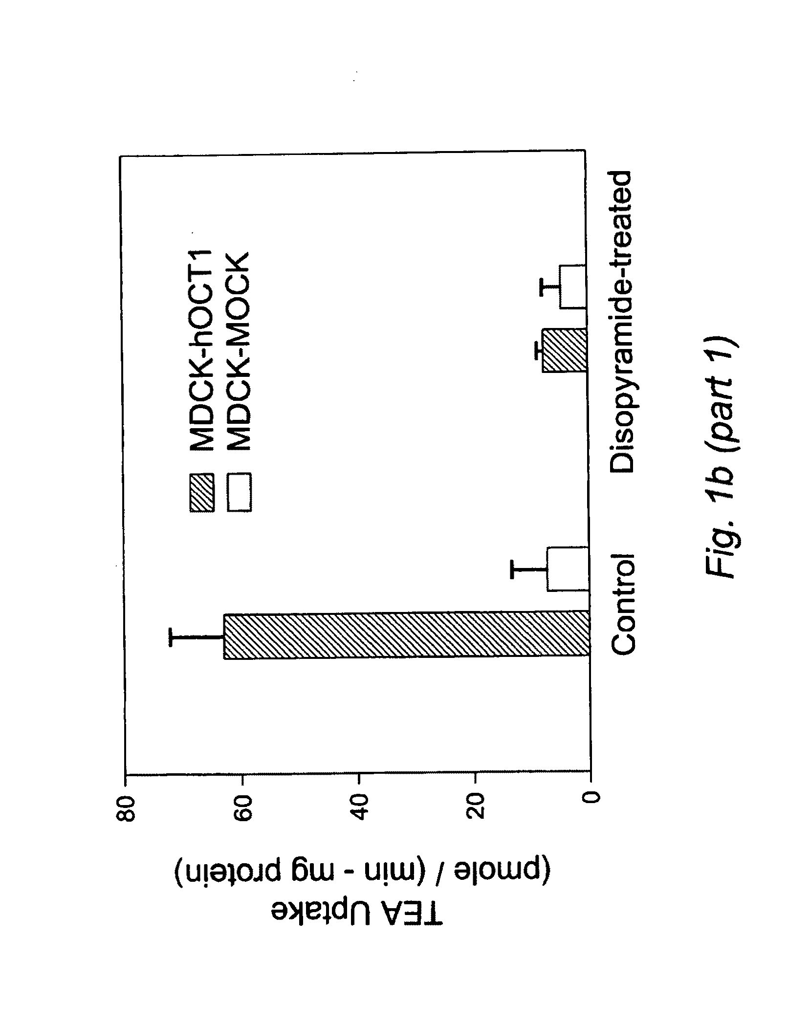Use of organic cation transporters for cancer diagnosis and therapy