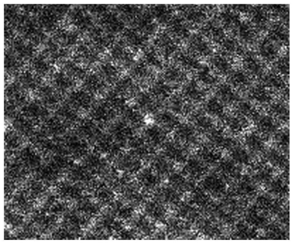 A kind of preparation method of metal single atom catalyst