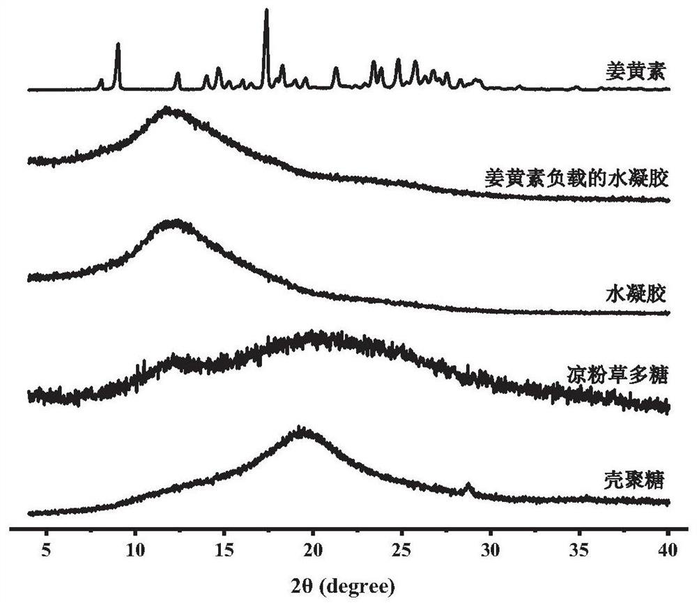 Food-based pH sensitive hydrogel and preparation method thereof