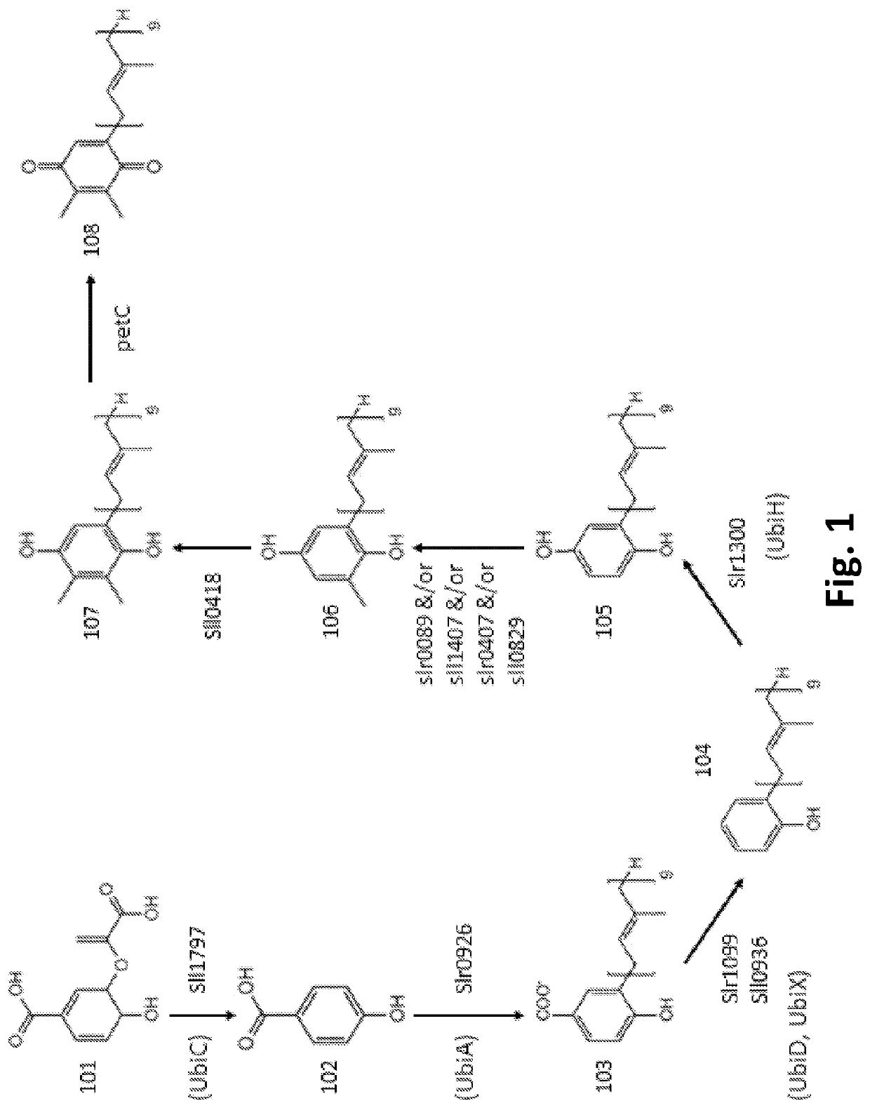 Herbicide tolerant plants expressing a cyanobacterial plastoquinone biosynthetic pathway