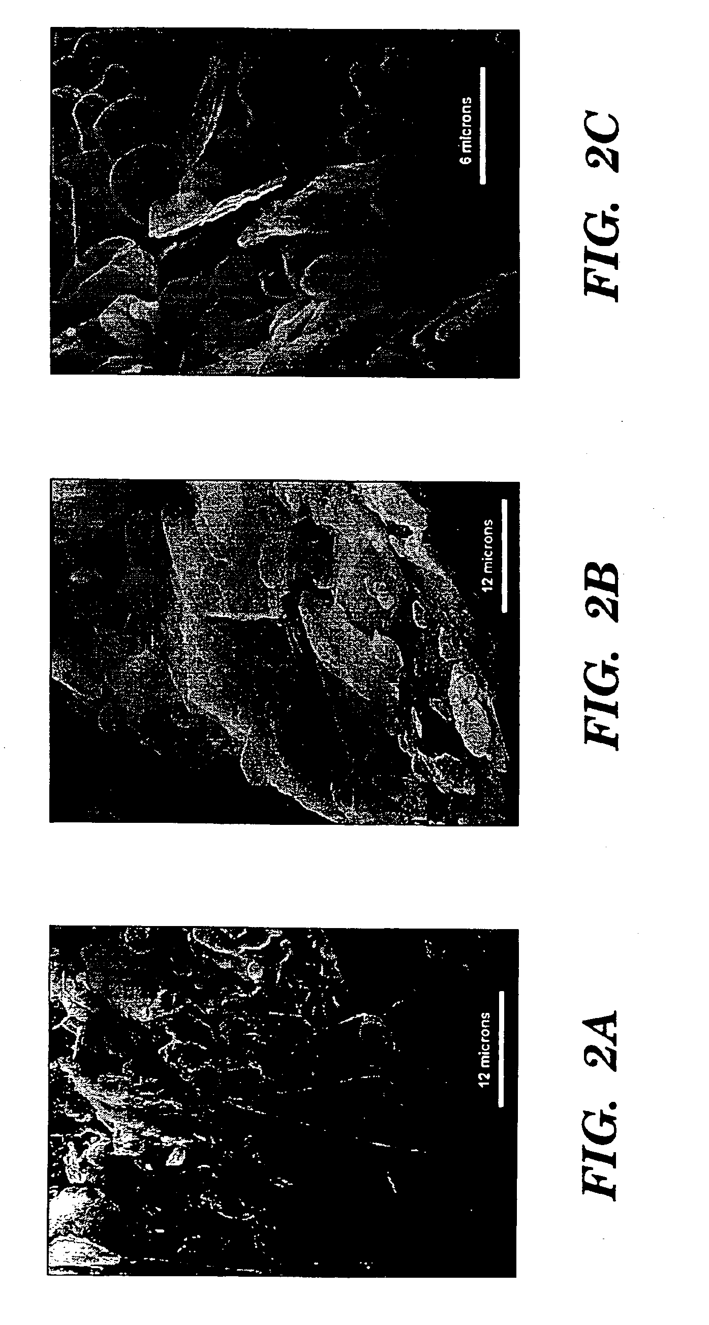 Highly delaminated hexagonal boron nitride powders, process for making, and uses thereof
