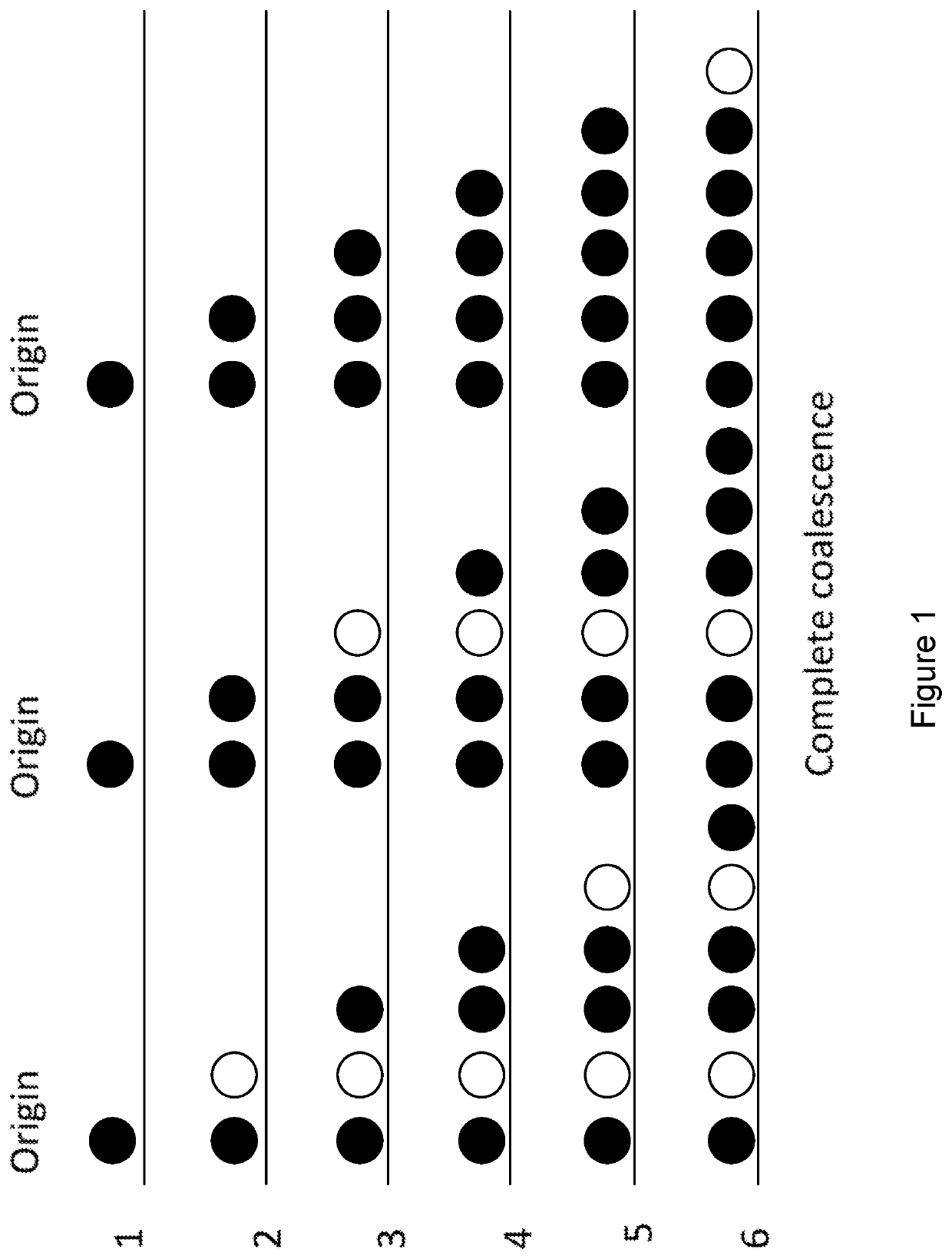 Sequencing by coalescence