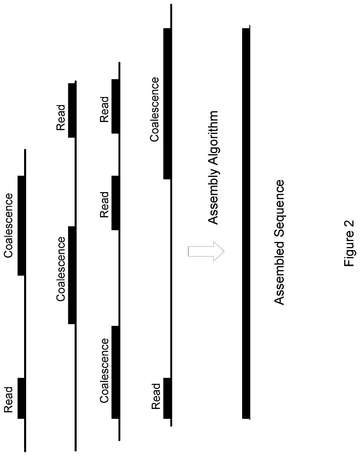 Sequencing by coalescence