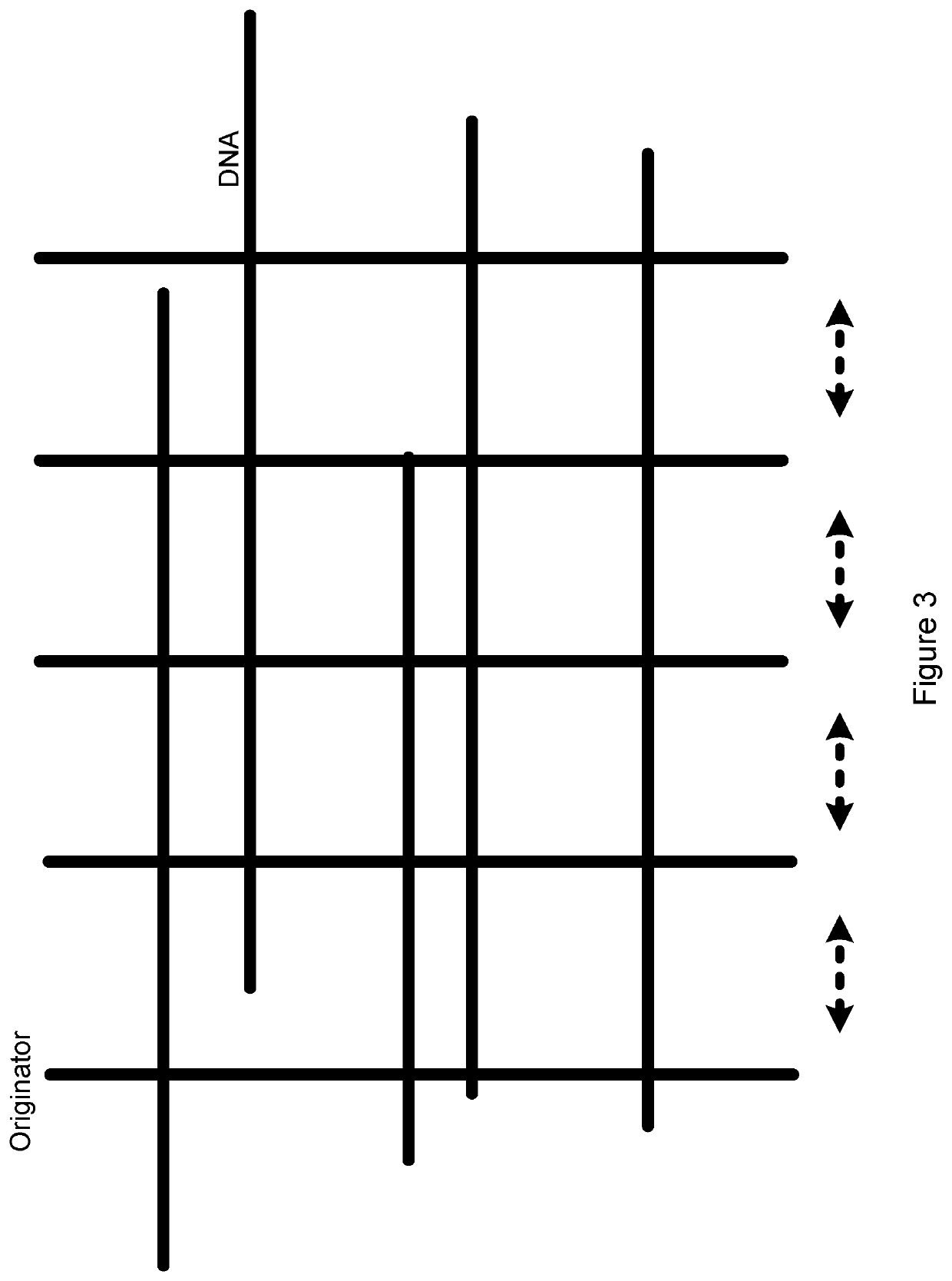 Sequencing by coalescence