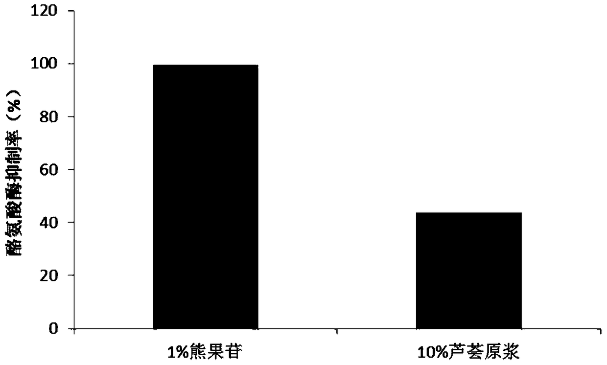 A kind of aloe fermented puree cosmetic and preparation method and application thereof