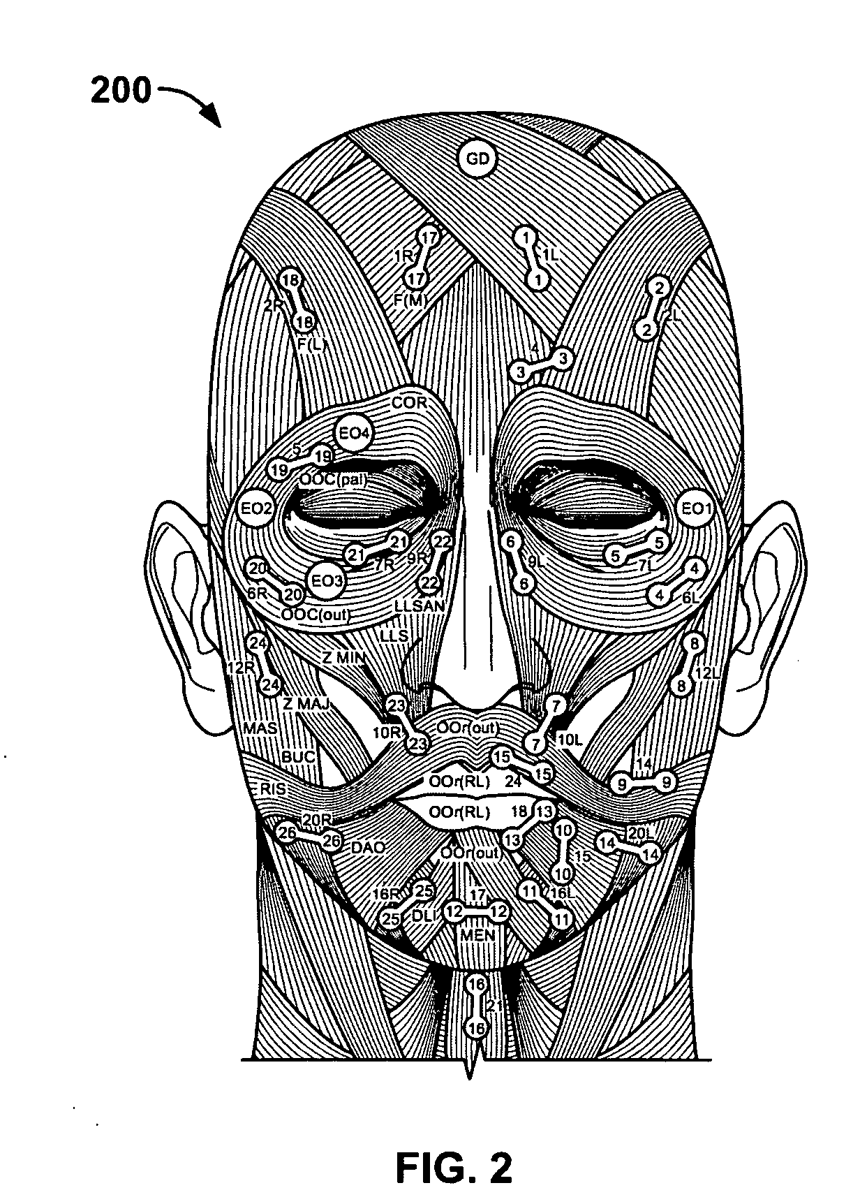 System and method for tracking facial muscle and eye motion for computer graphics animation