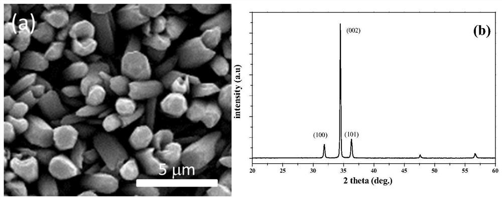 Method for realizing evolution of various nano morphologies of zinc oxide