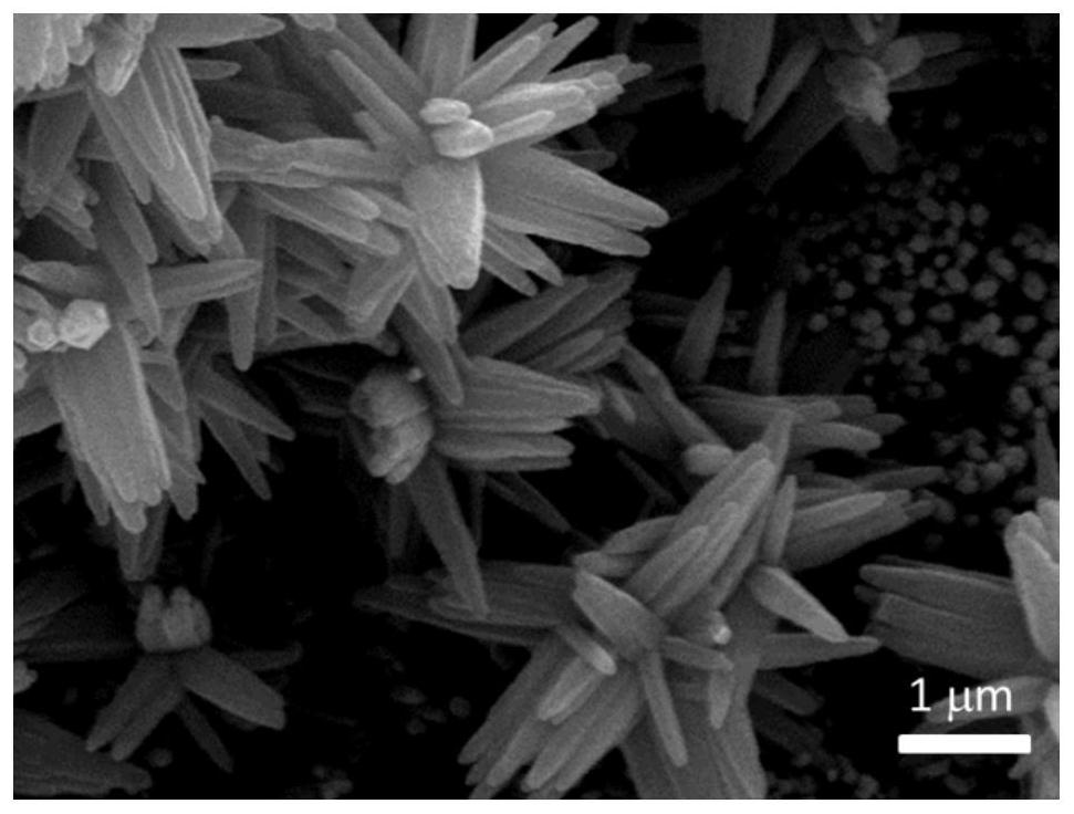 Method for realizing evolution of various nano morphologies of zinc oxide