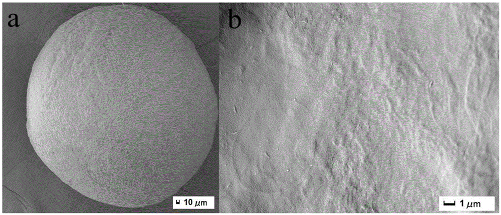 Preparation method of composite porous microspheres of core-shell structure