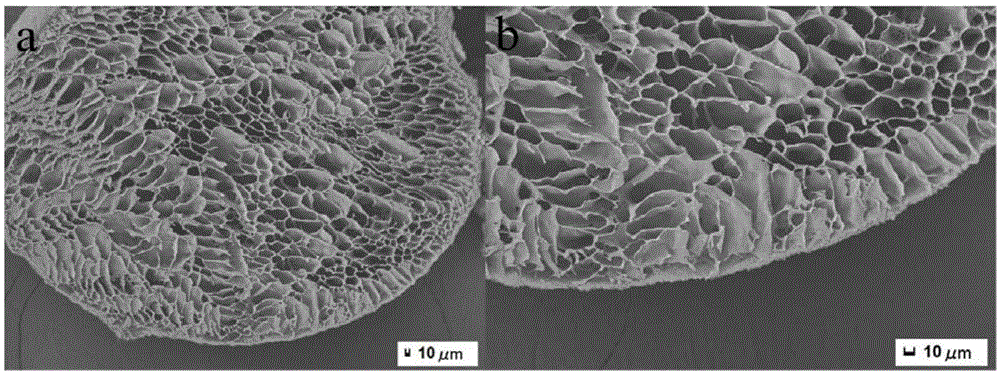 Preparation method of composite porous microspheres of core-shell structure