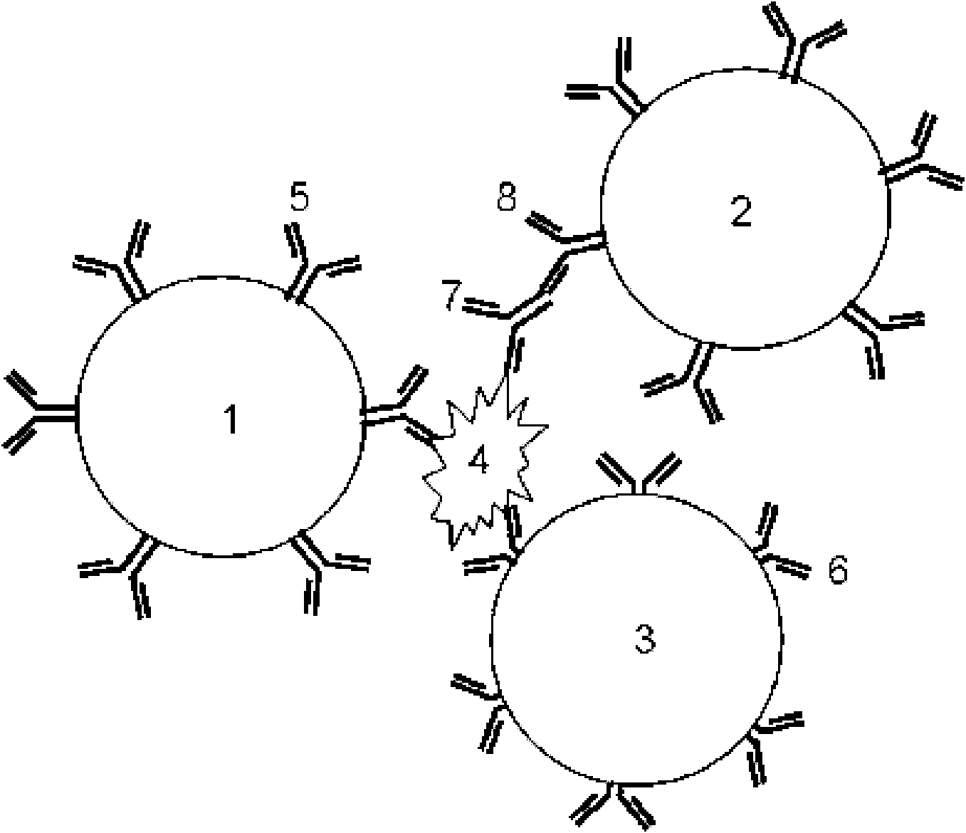 method-for-increasing-sensitivity-of-latex-reagent-by-crosslinking