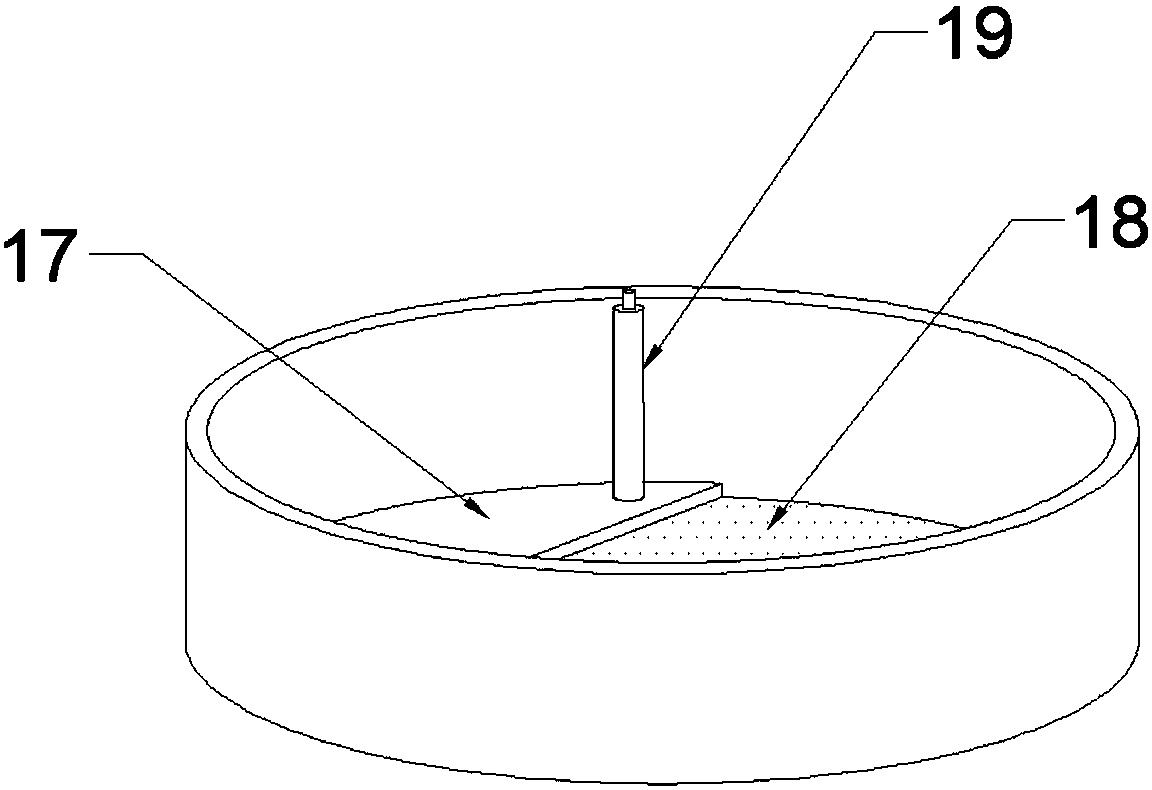 Special collar cleaning equipment capable of automatically discharging detergent