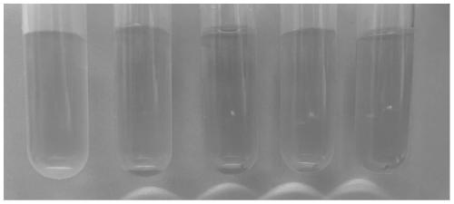 Folic acid-berberine nano-drug and preparation method and application thereof