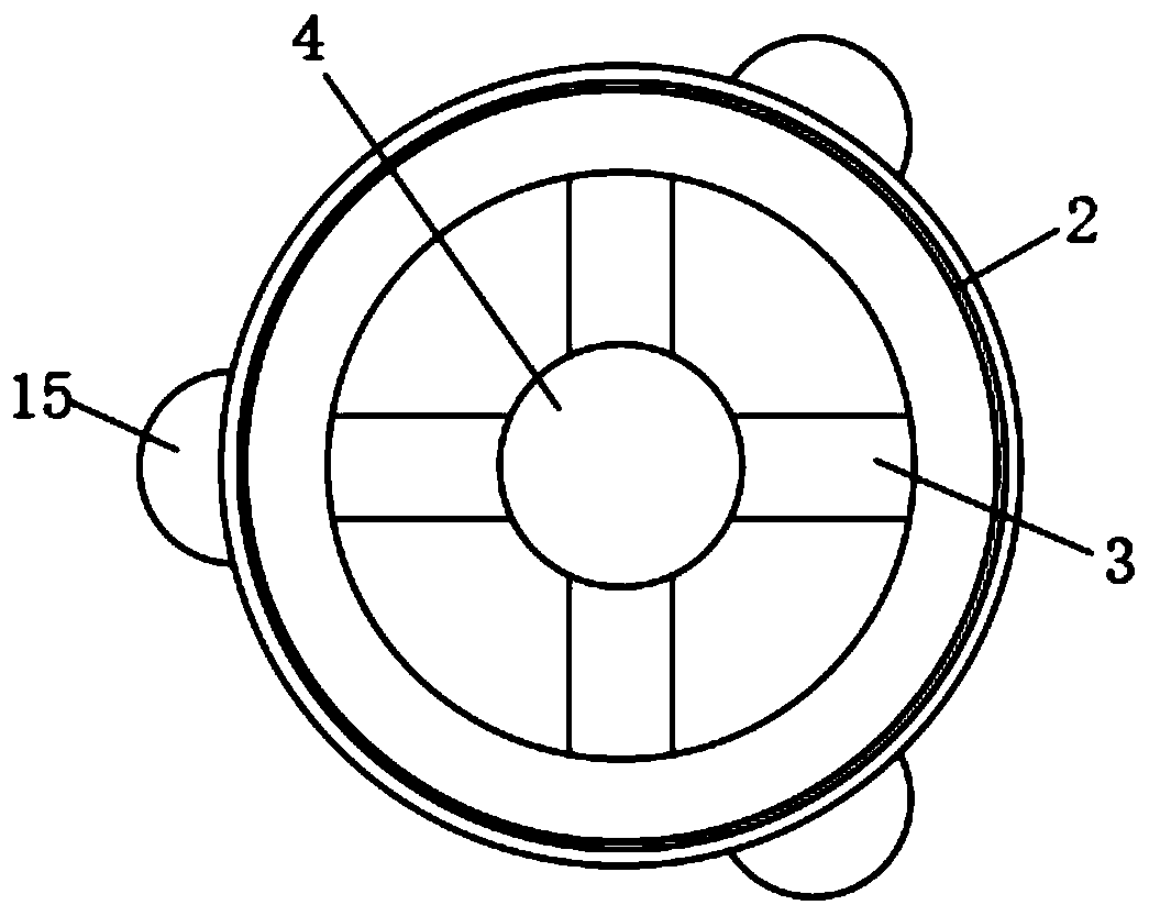 A small particle wild fruit cleaning device