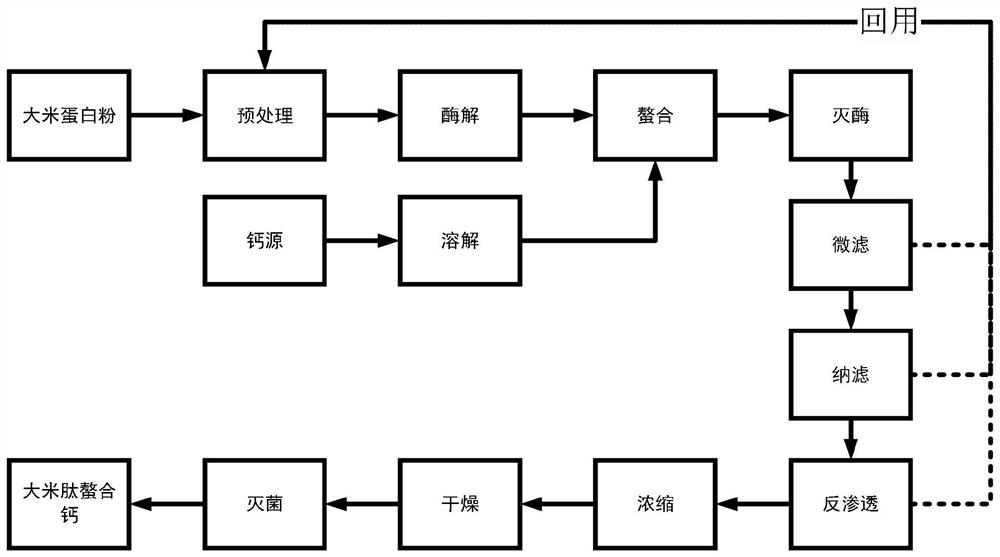 Preparation method of rice peptide chelated calcium