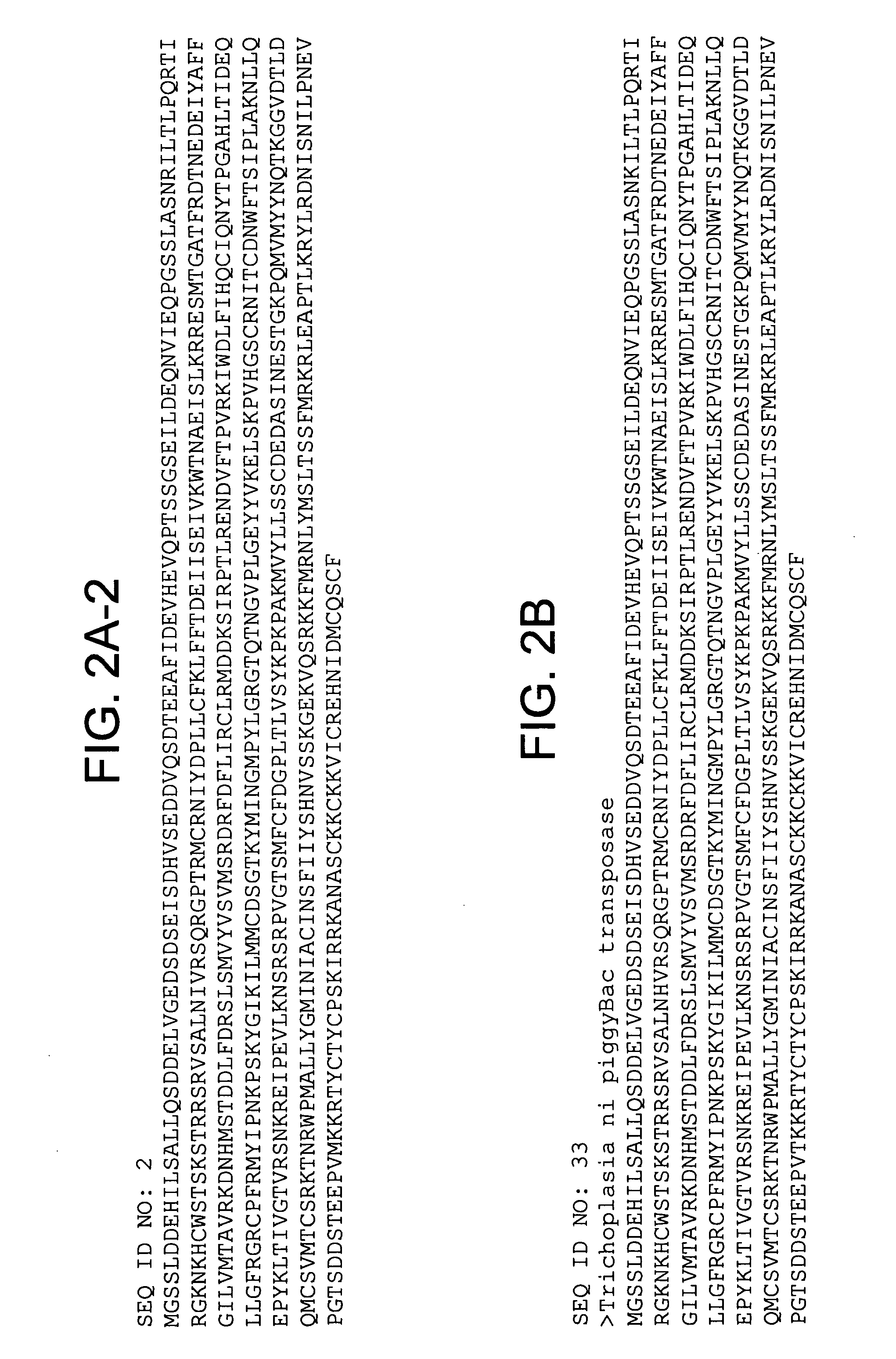 Piggybac transposon variants and methods of use