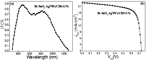 Sb-SnO2-AgNWs/CBS-GNs flexible thin film solar cell and preparation method thereof