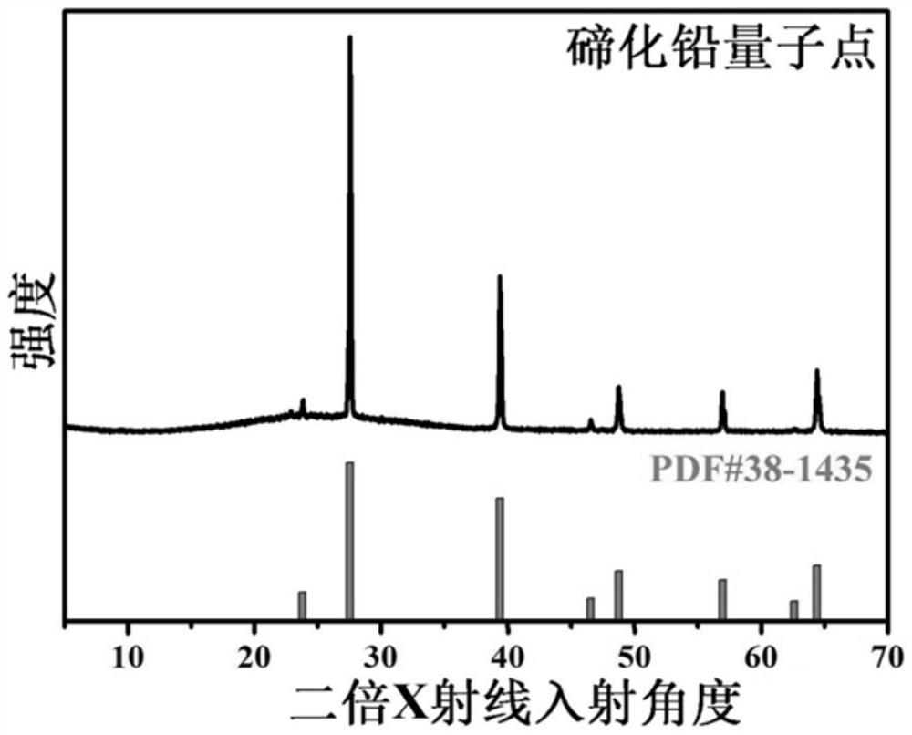 Lead telluride quantum dots and preparation method and application thereof