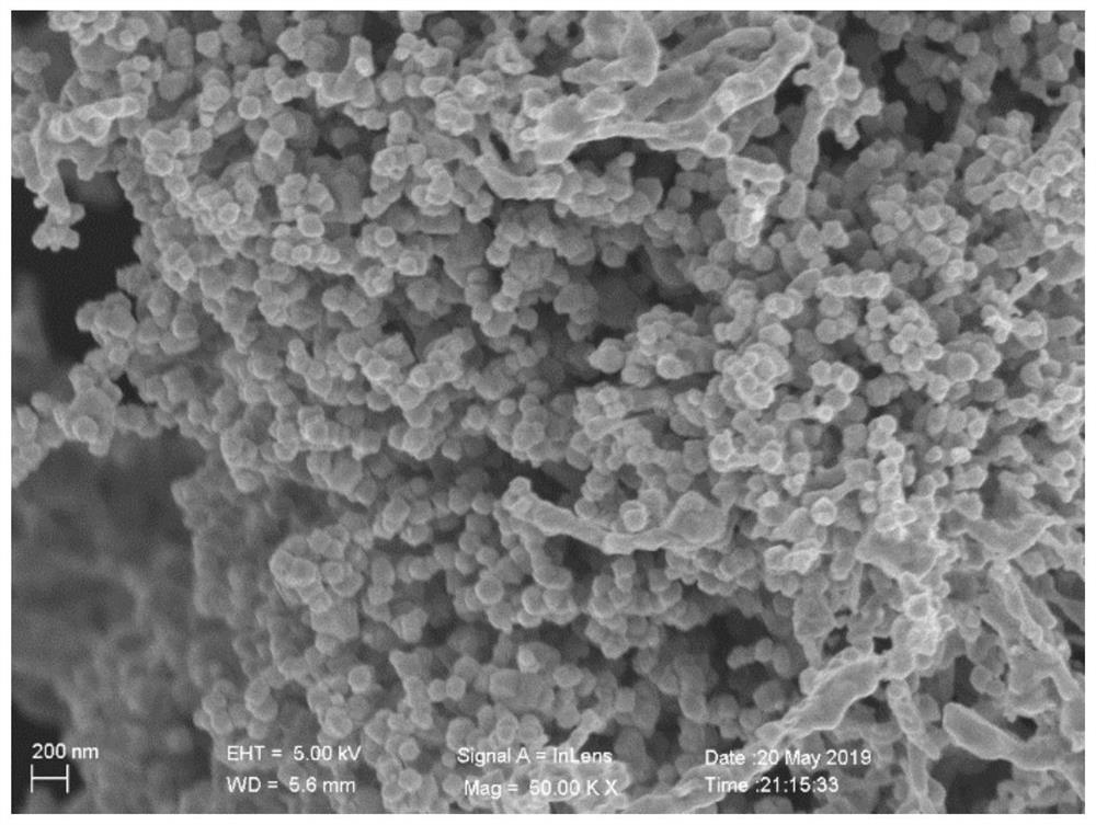 Iridium-tungsten alloy nano-material, preparation method thereof and application of iridium-tungsten alloy nano-material as acidic oxygen evolution reaction electrocatalyst