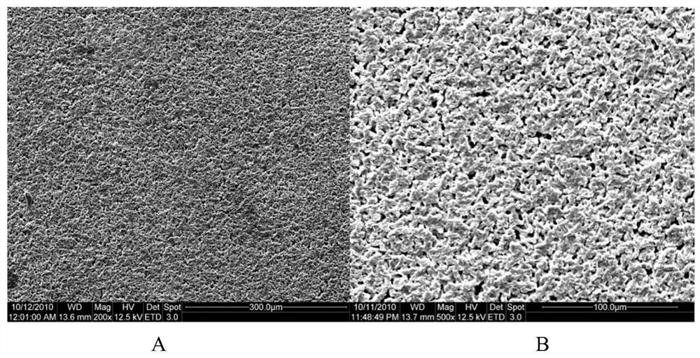 A kind of hydrophobic and oleophobic self-cleaning material and its preparation method and application