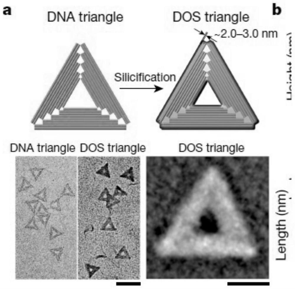 DNA origami mineralization method capable of realizing responsive degradation