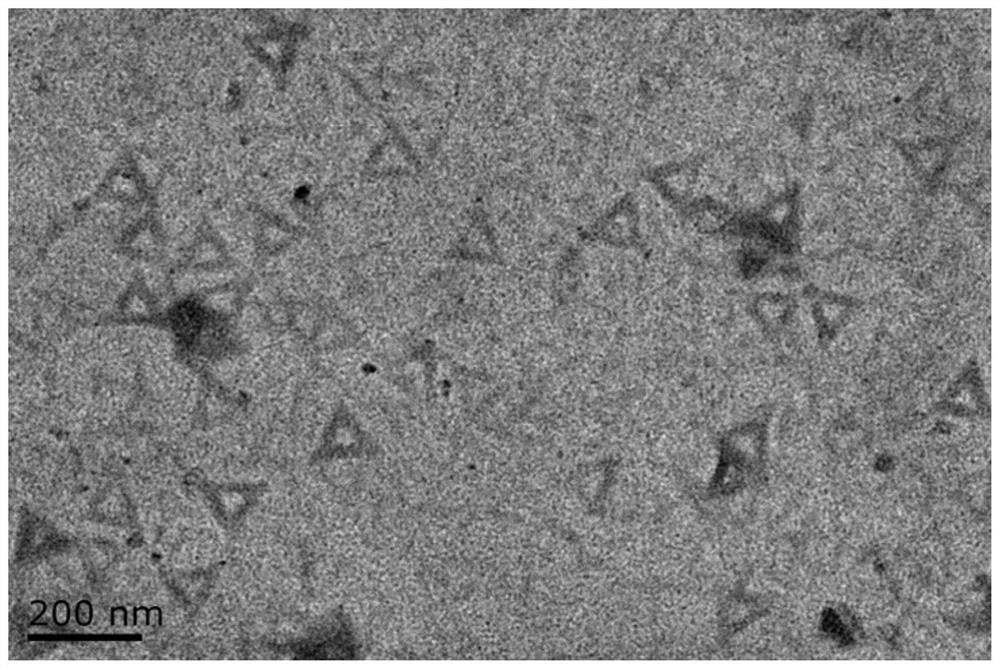 DNA origami mineralization method capable of realizing responsive degradation