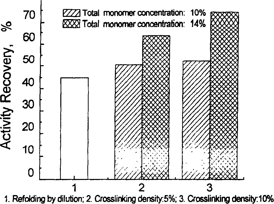 Method for assisting lysozyme renaturation by temperature sensitive type poly N-isopropyl acrylamide gel