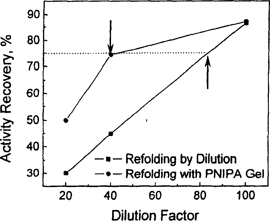 Method for assisting lysozyme renaturation by temperature sensitive type poly N-isopropyl acrylamide gel