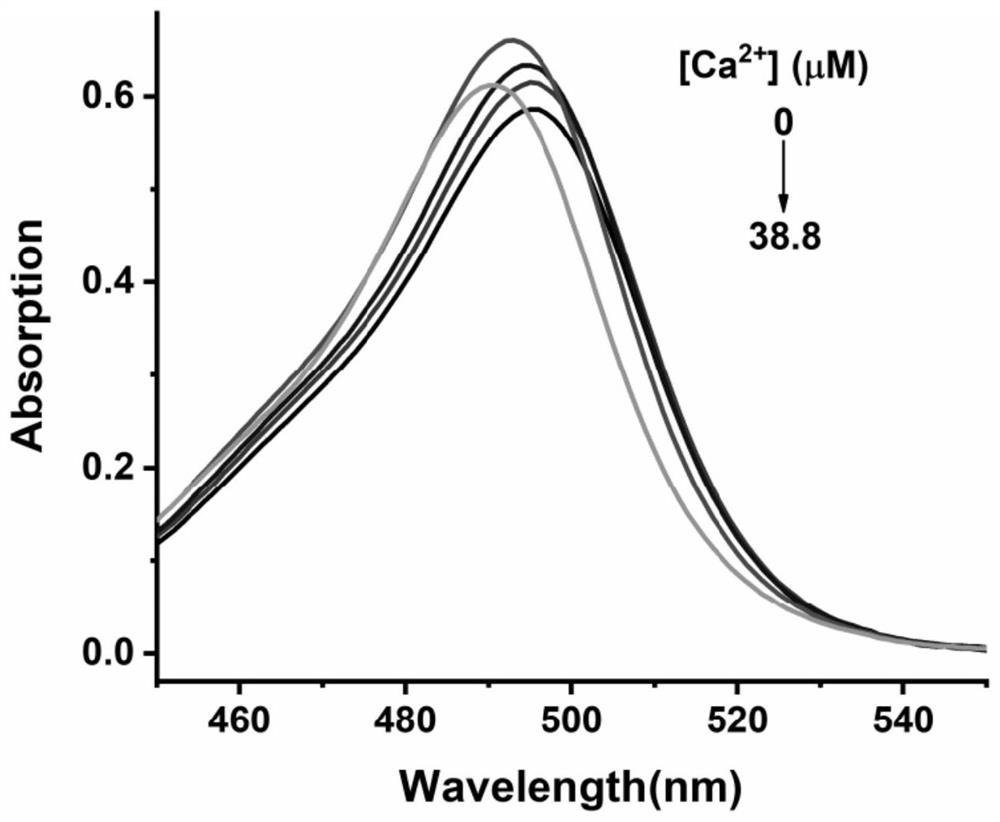 Method for detecting content of water-soluble calcium in dried oysters