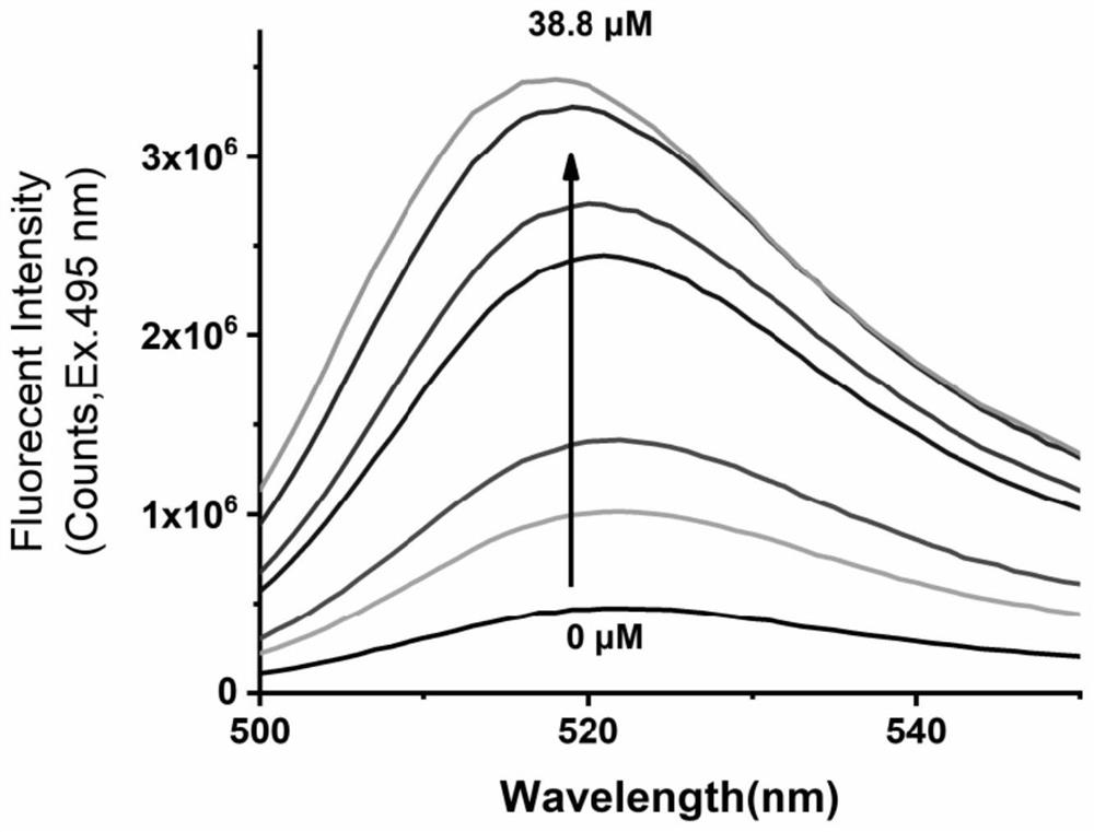 Method for detecting content of water-soluble calcium in dried oysters