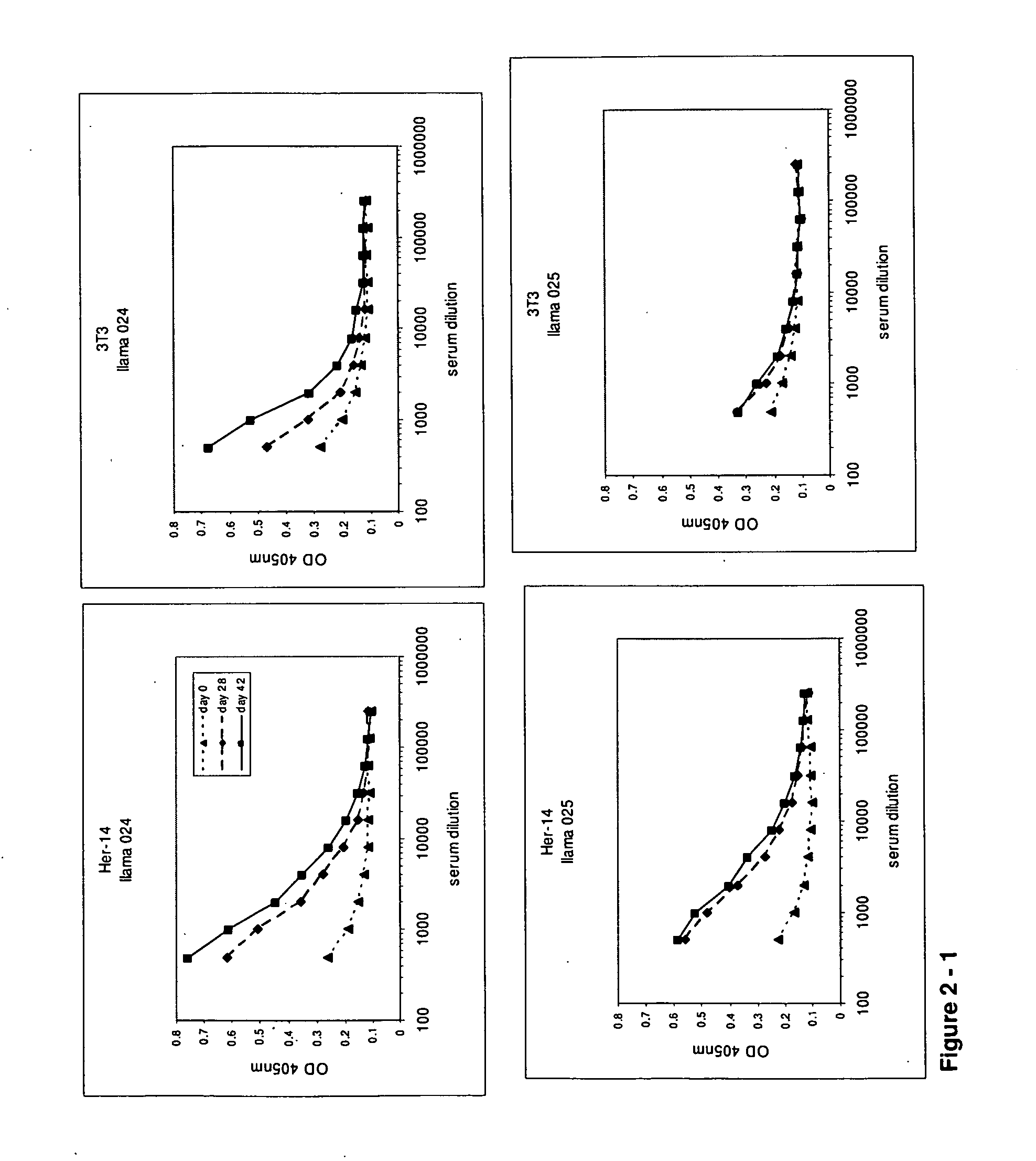 Single domain antibodies directed against epidermal growth factor receptor and uses therefor
