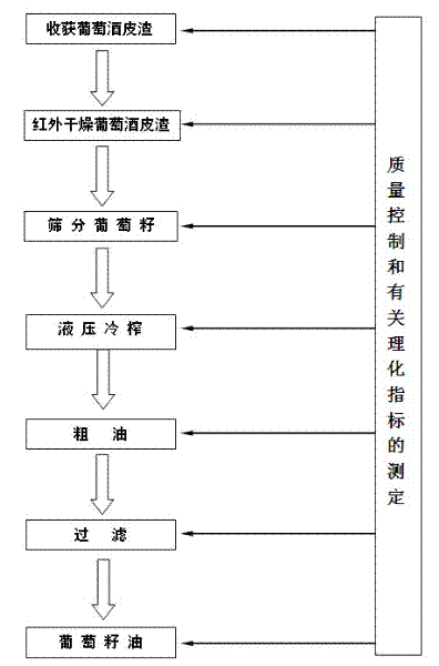 Cold-pressing extraction method of grape seed oil