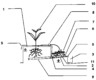 Facility and method for combining horticultural crop cultivation with earthworm breeding