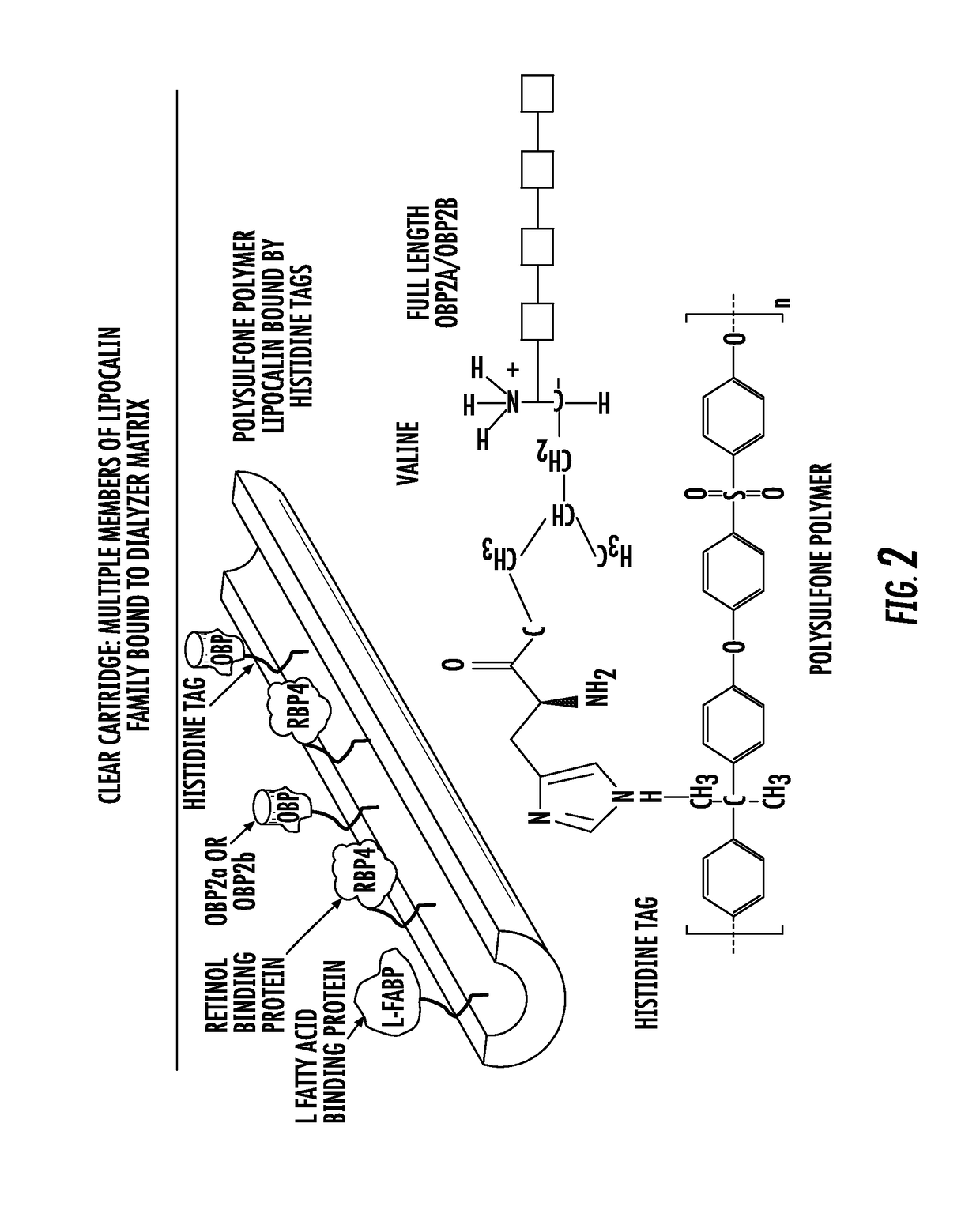 Methods and apparatus for kidney dialysis and extracorporeal detoxification