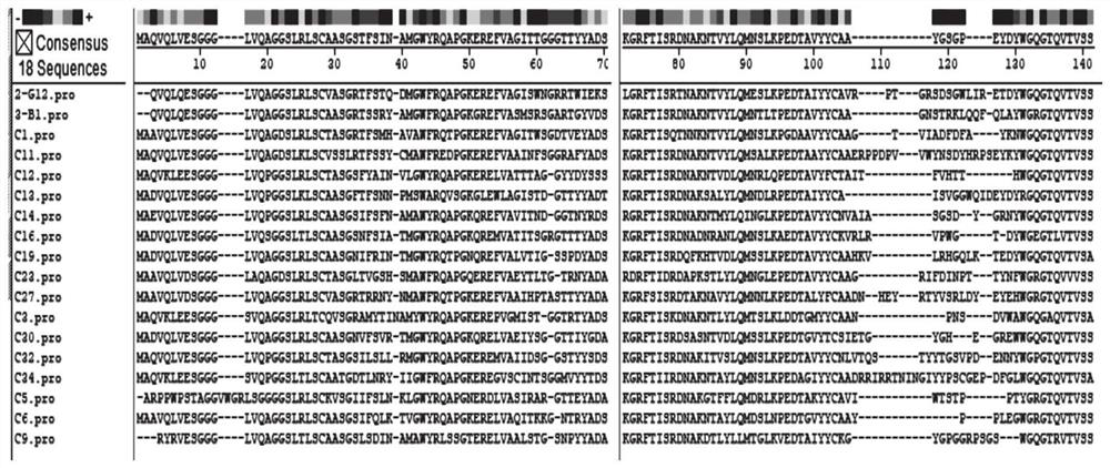 CD44V6 nano antibody and application thereof as leukemia research reagent