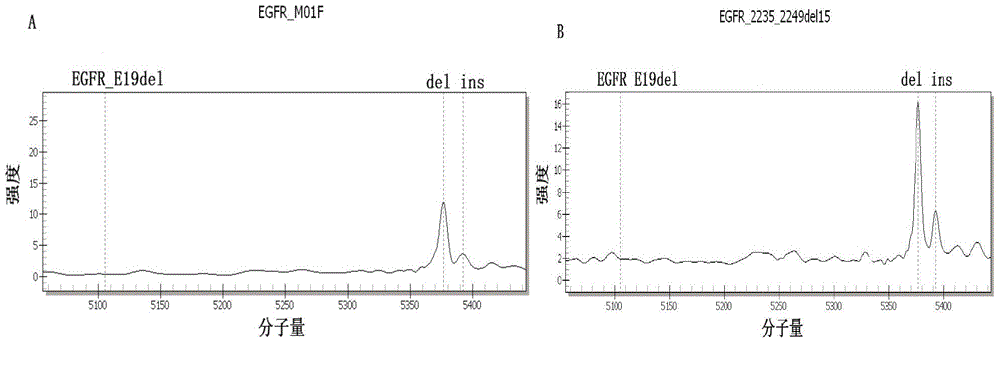 Lung cancer gene spectrum detection method and kit based on Mass ARRAY platform Iplex analysis and application of kit