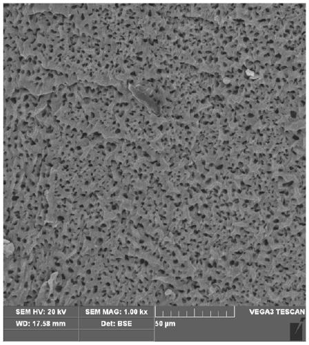 A gel and method of an amphiphilic copolymer network with microscopic pores