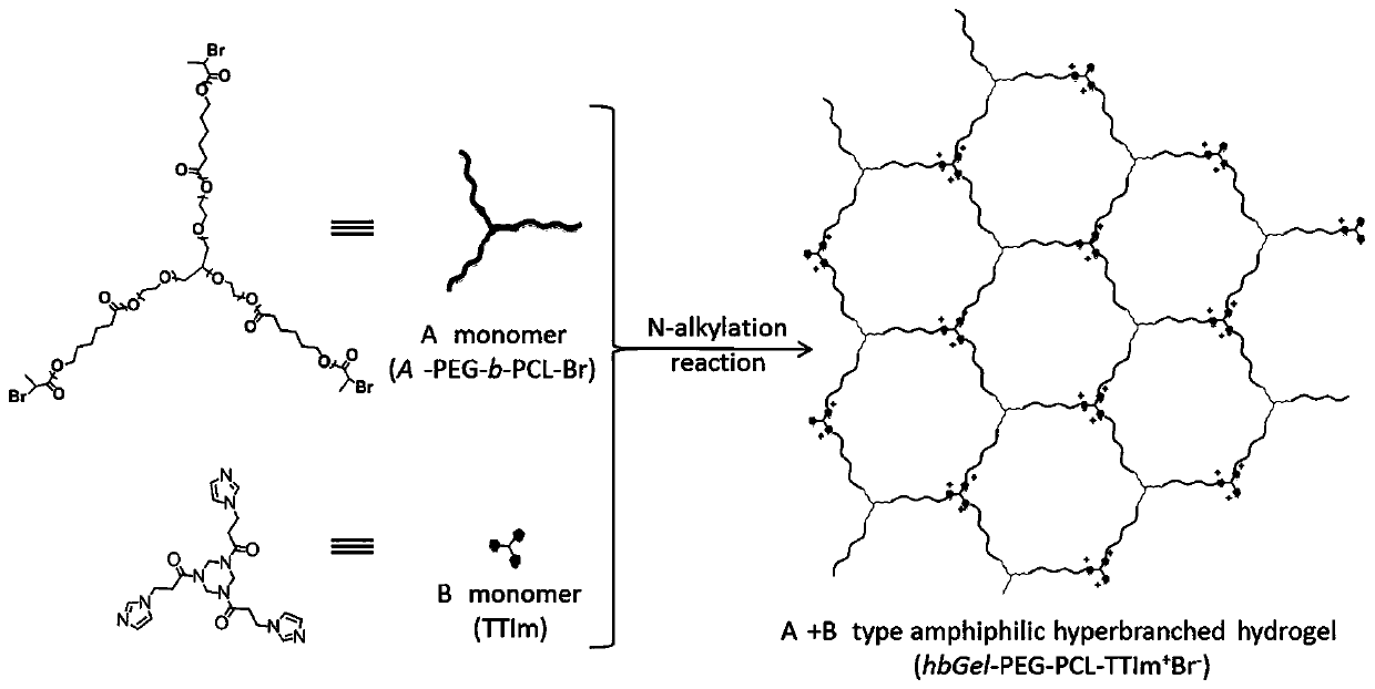 A gel and method of an amphiphilic copolymer network with microscopic pores