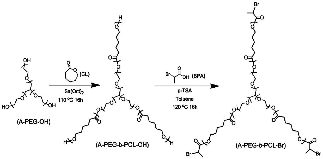 A gel and method of an amphiphilic copolymer network with microscopic pores