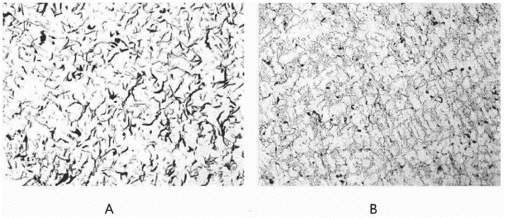 Amorphous nucleating agent for gray pig iron and preparation method and using method thereof