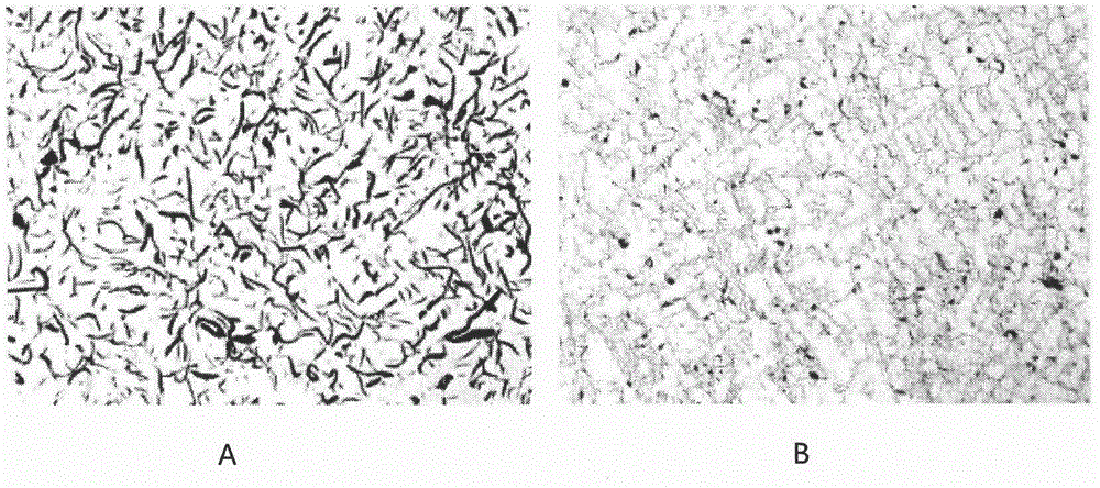 Amorphous nucleating agent for gray pig iron and preparation method and using method thereof