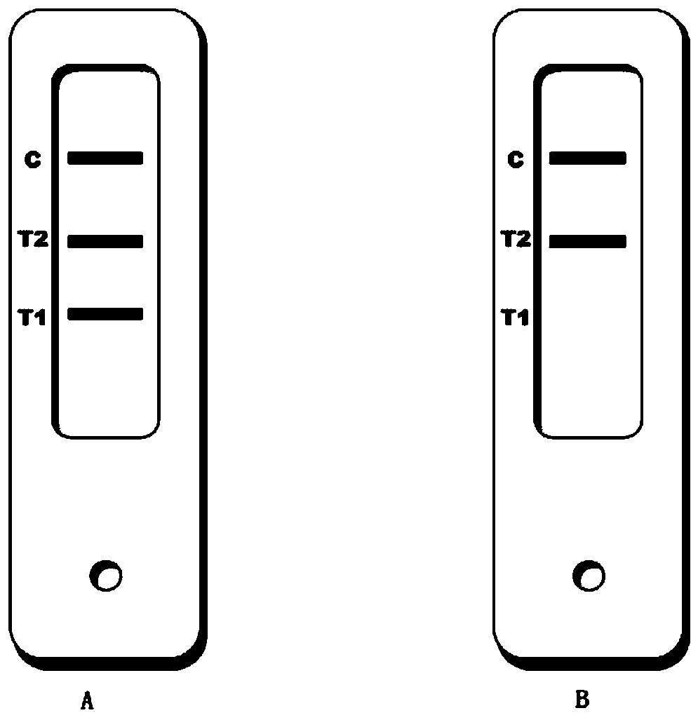 A detection method to detect methylation of specific genes