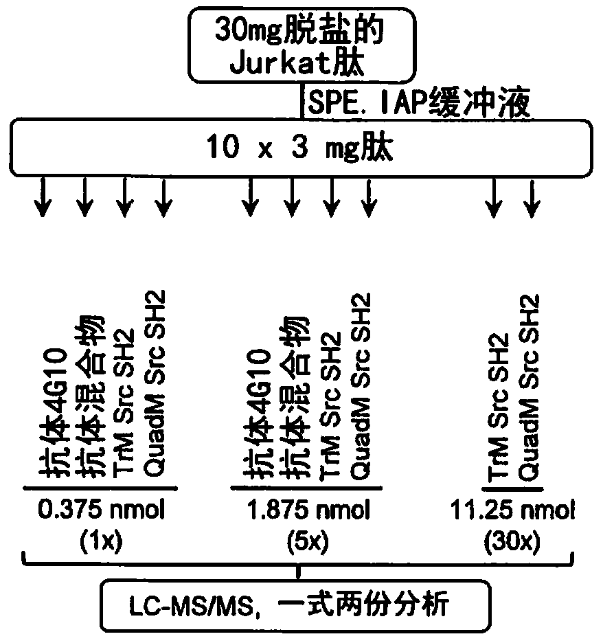 Methods for protein tyrosine phosphorylation profiling with variant sh2 domains