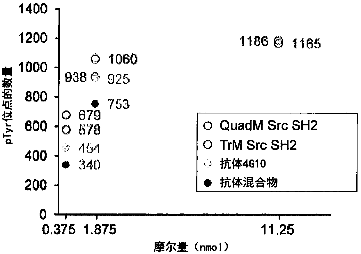 Methods for protein tyrosine phosphorylation profiling with variant sh2 domains