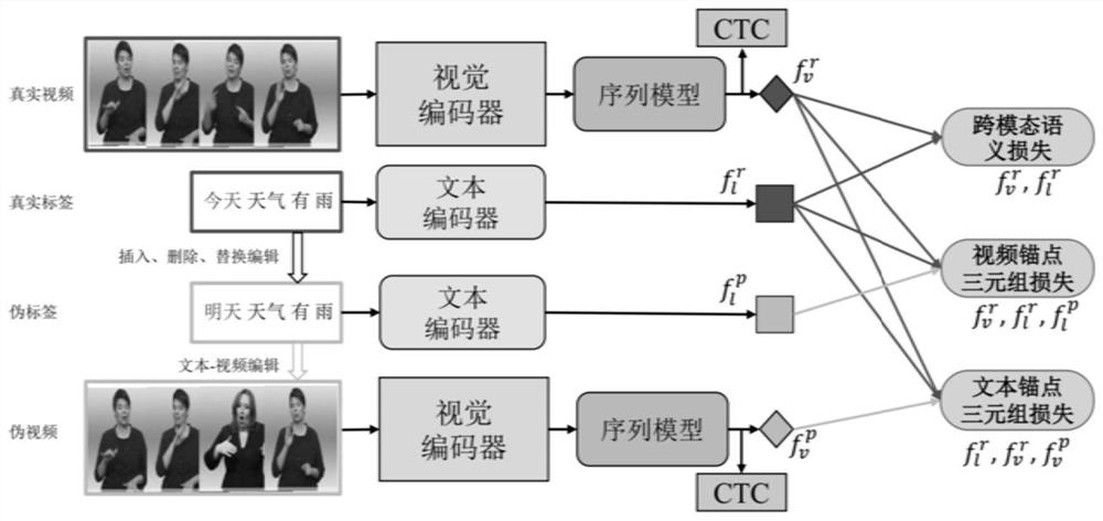 Continuous sign language recognition method based on cross-modal data augmentation