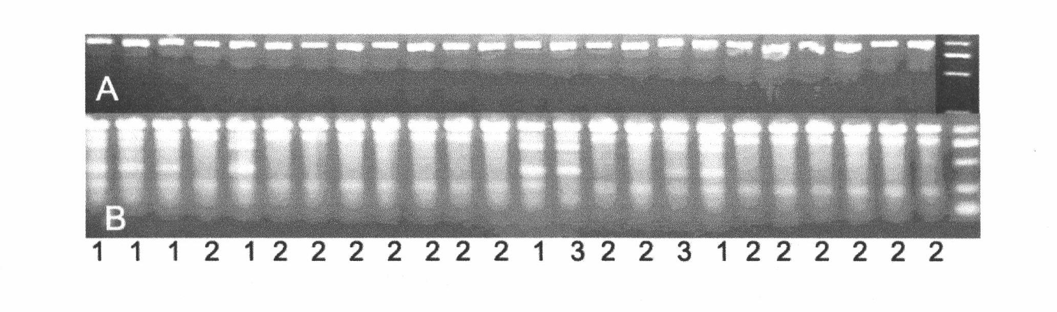 Method for cloning rice complex trait associated gene