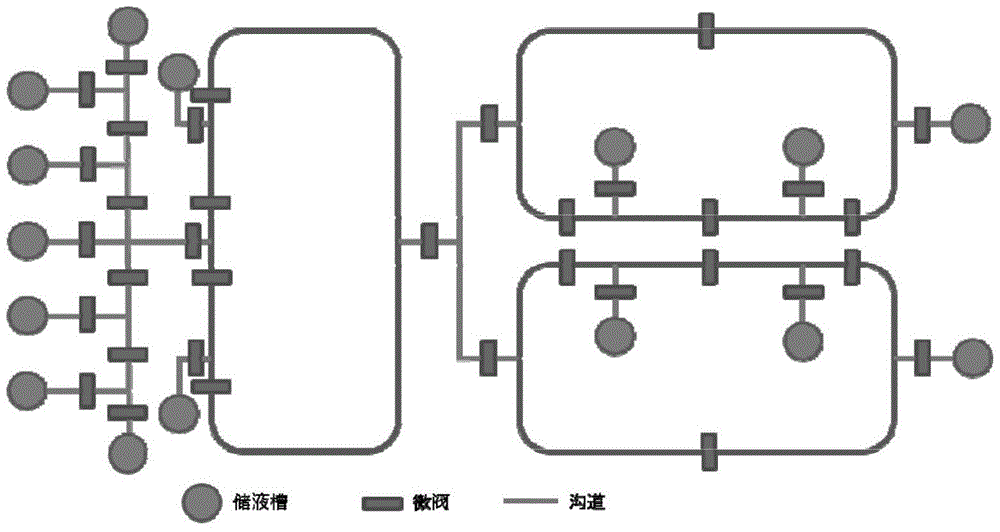 Biochip control system