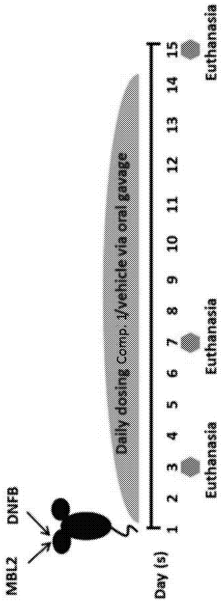 Methods of treating solid tumors with ccr2 antagonists